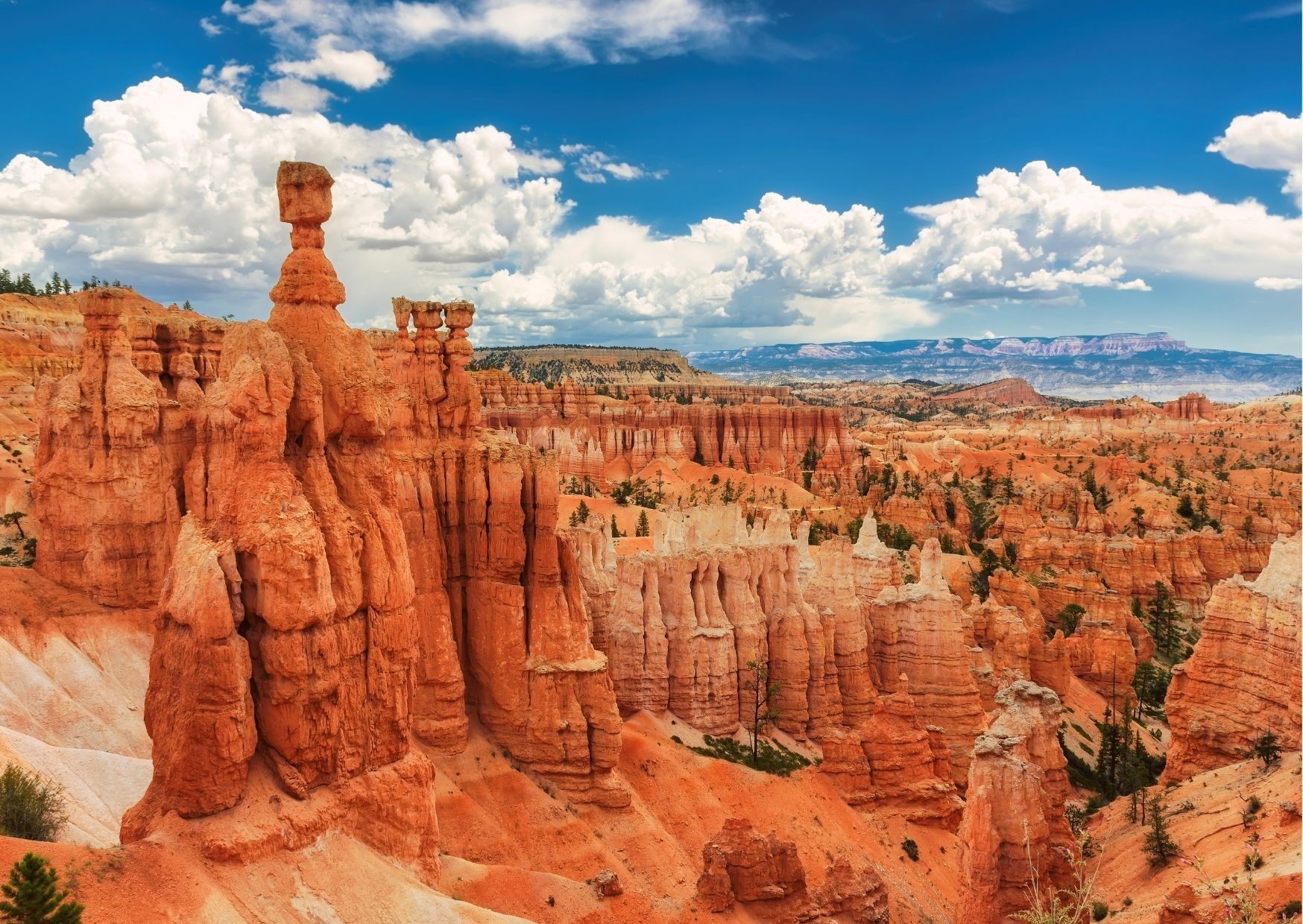 Utah is full with exciting opportunities that are sure to awaken your sense of adventure